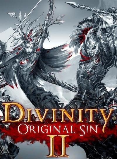 Обложка игры Divinity: Original Sin 2